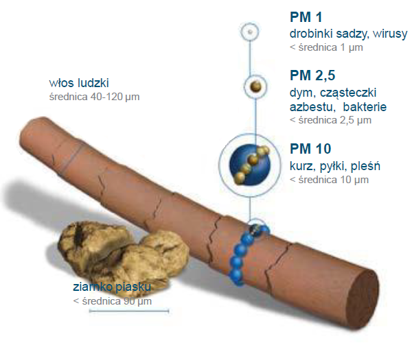 Porównanie zanieczyszczeń powietrza z włosem ludzkim